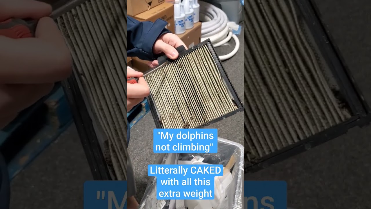 Filthy Dolphin Filters You Won't Believe 🐬