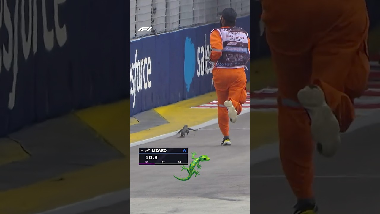 Remembering the Singapore Lizard 🦎