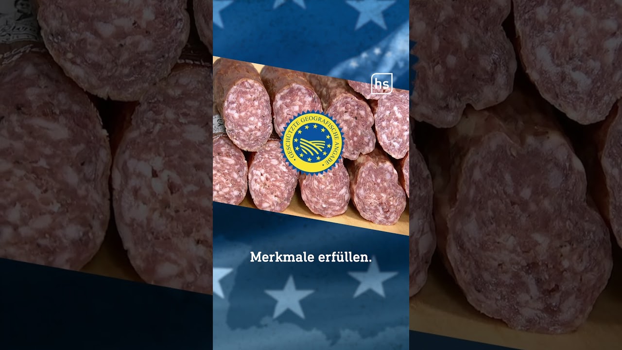 Europawahl am 9. Juni: Was Hessen betrifft 🇪🇺