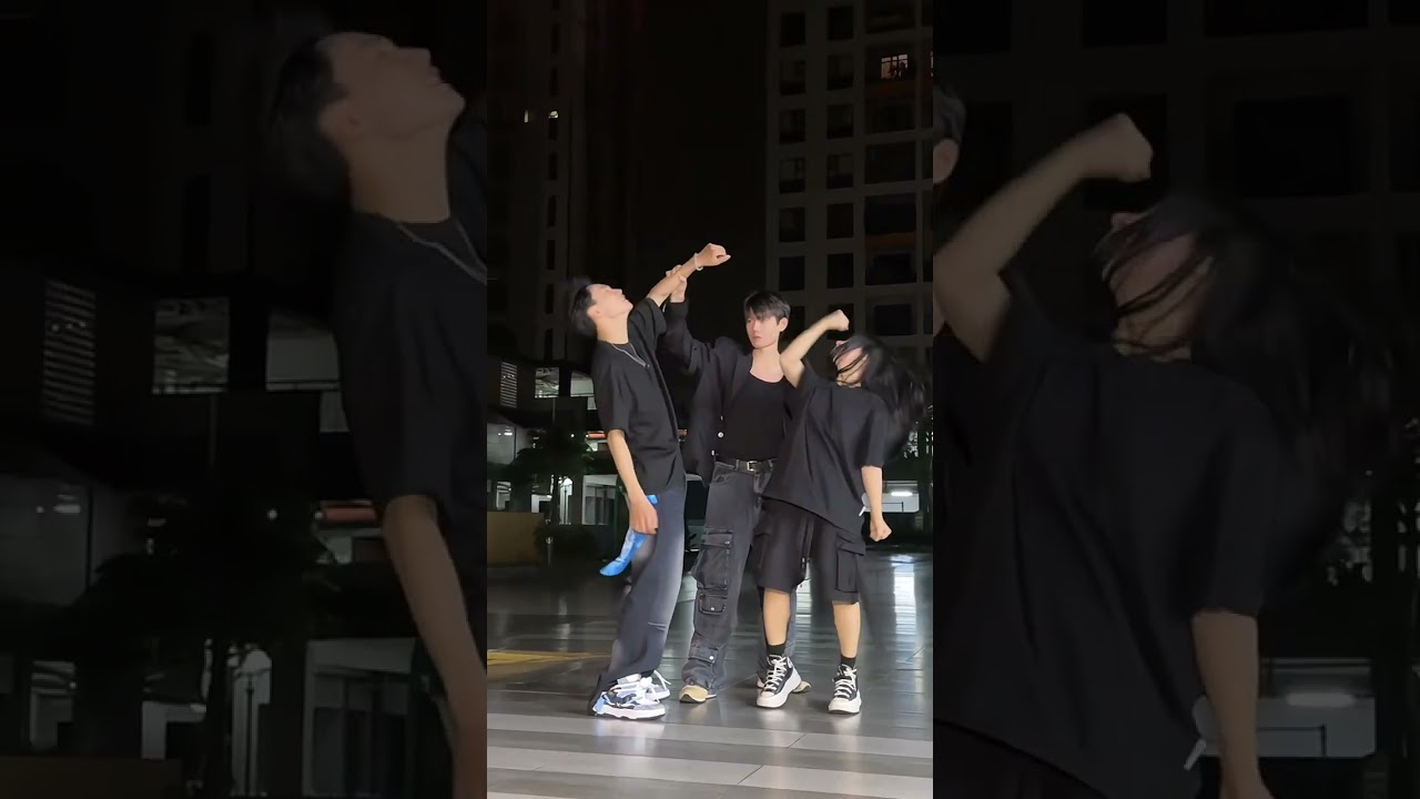 Tin Nguyen Dance: I Have Bodyguard 🎶