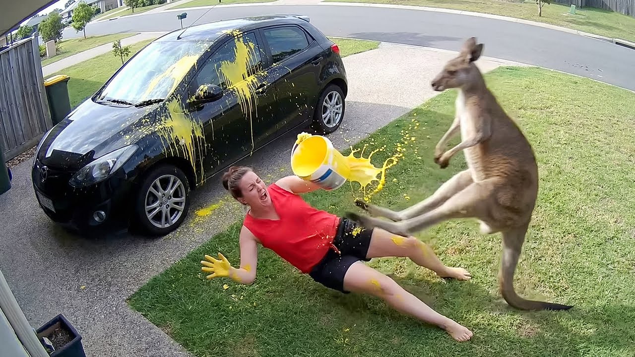 Instant Karma Caught on Camera