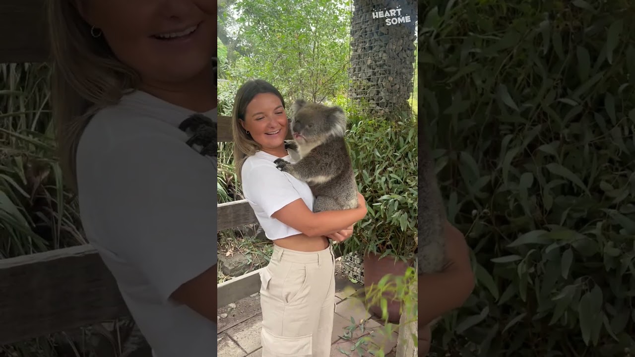 Woman Cuddles Adorable Koala 🐨