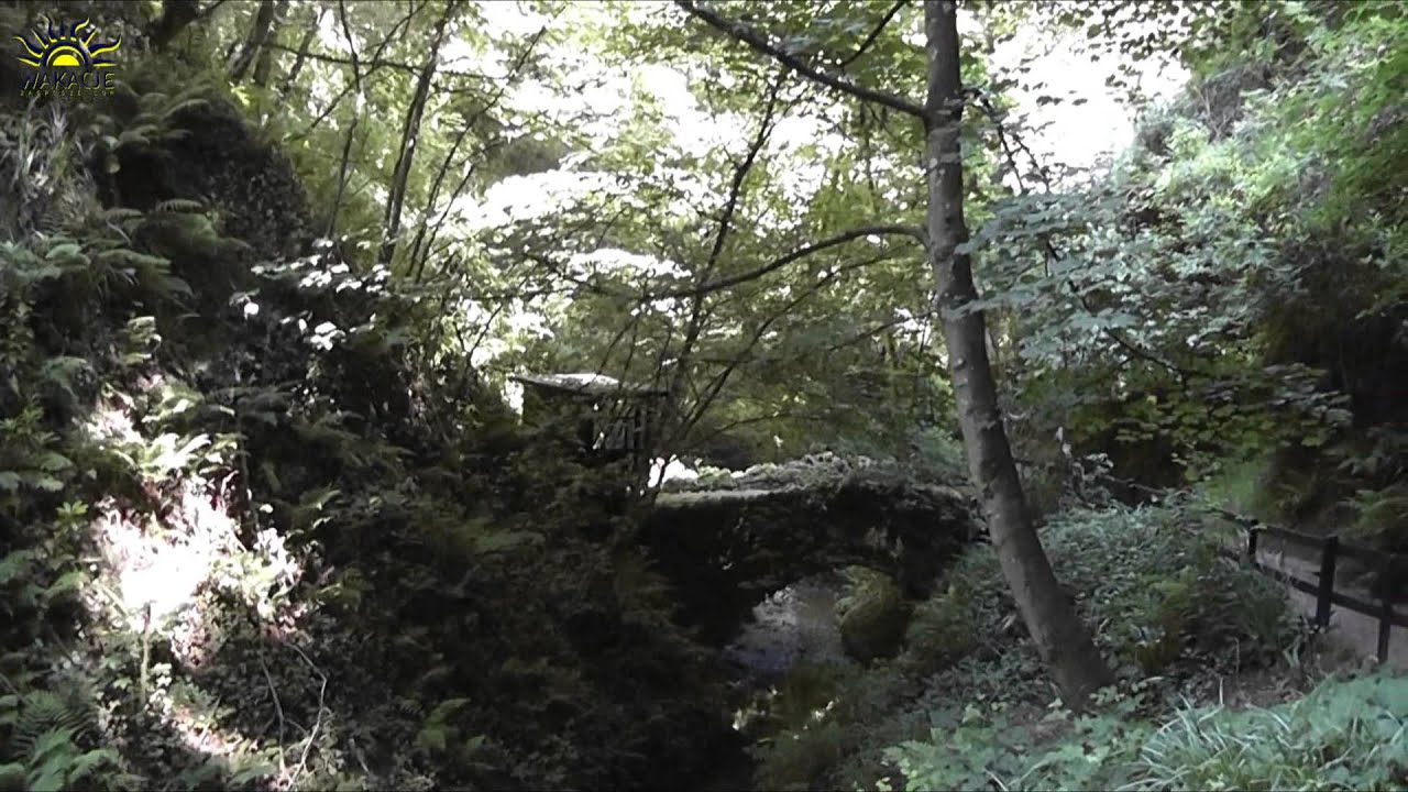 IsleShank: Budget Flights & Holiday Deals ✈️