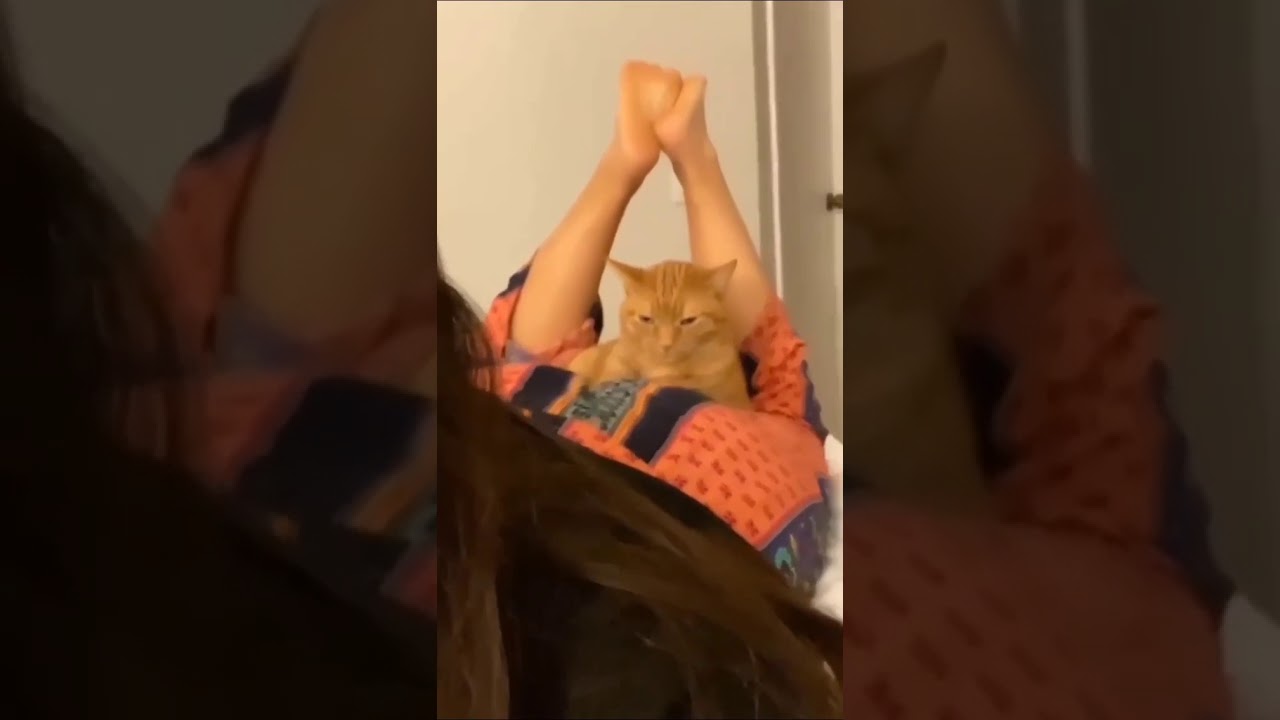 Girl Bitten by Cat on Buttocks 🐱