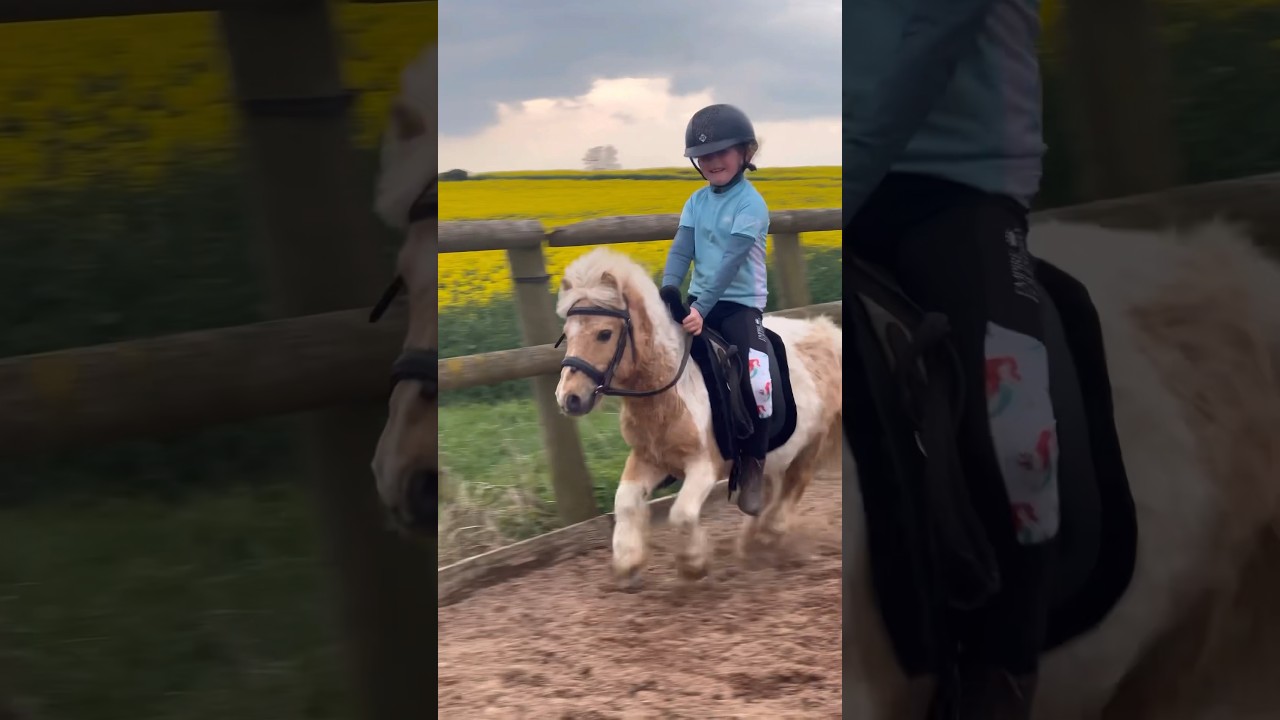 Fast Shetland Pony in Equestrian Show Jumping