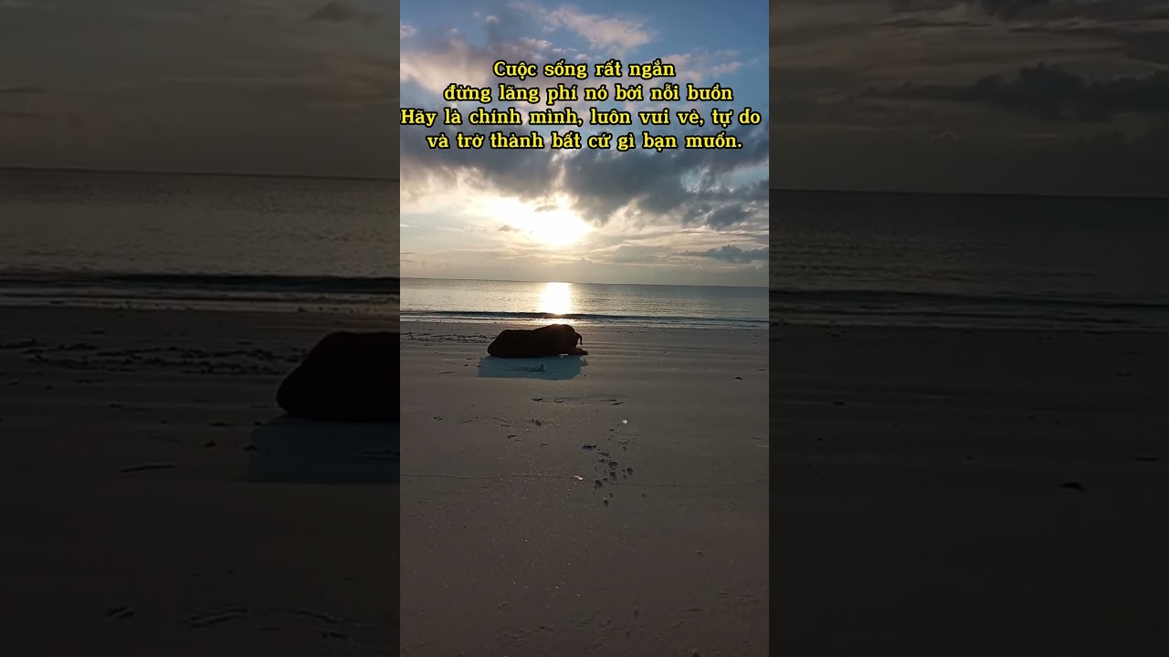 Câu Nói Hay Giúp Cuộc Sống Tích Cực 🌟