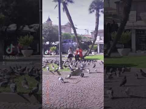 Civitanova marche Italy 🇮🇹