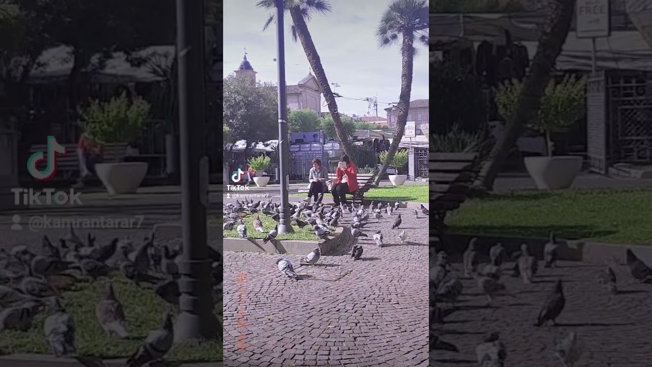 Discover the Charm of Civitanova Marche, Italy 🇮🇹