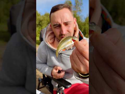 Ёрш на точке - к беде #рыбалка #фидер #лещ #ёрш