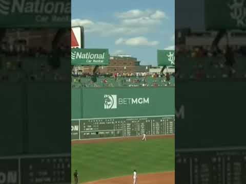 David Schneider out of the park homerun #sports #bluejays #shorts