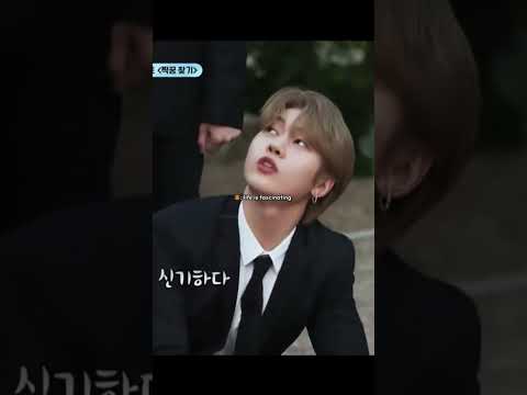 His unfiltered mouth is so funny😭🤣#seokmatthew #zb1 #zerobaseone #kpop #hanbin #zhanghao #jiwoong