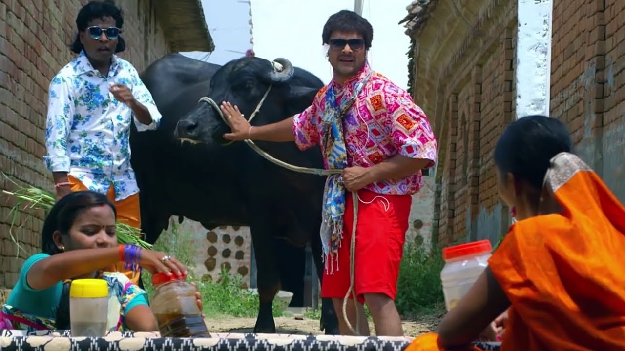 खेसारी लाल यादव की भैंसिया की सुहागरात 😂