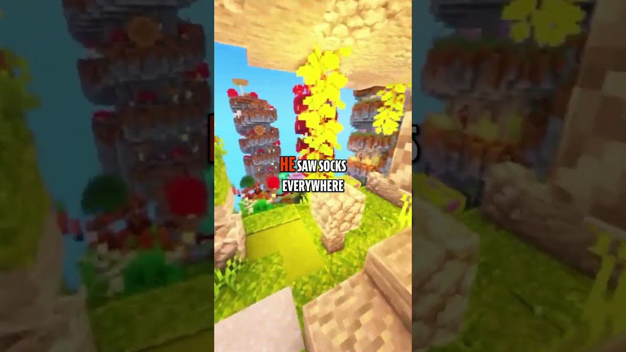 Lost Sock Adventure in Socktopia 🧦