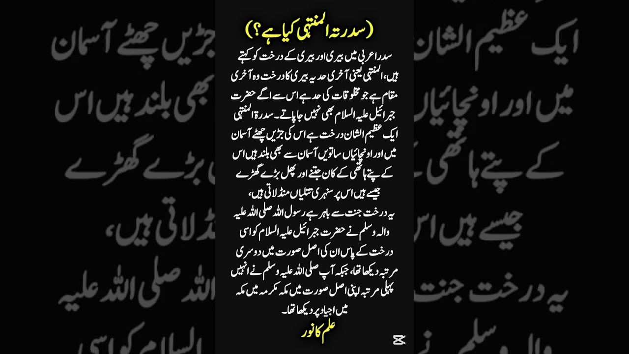 Understanding Sidratul Muntha and Top Islamic History Books in Urdu