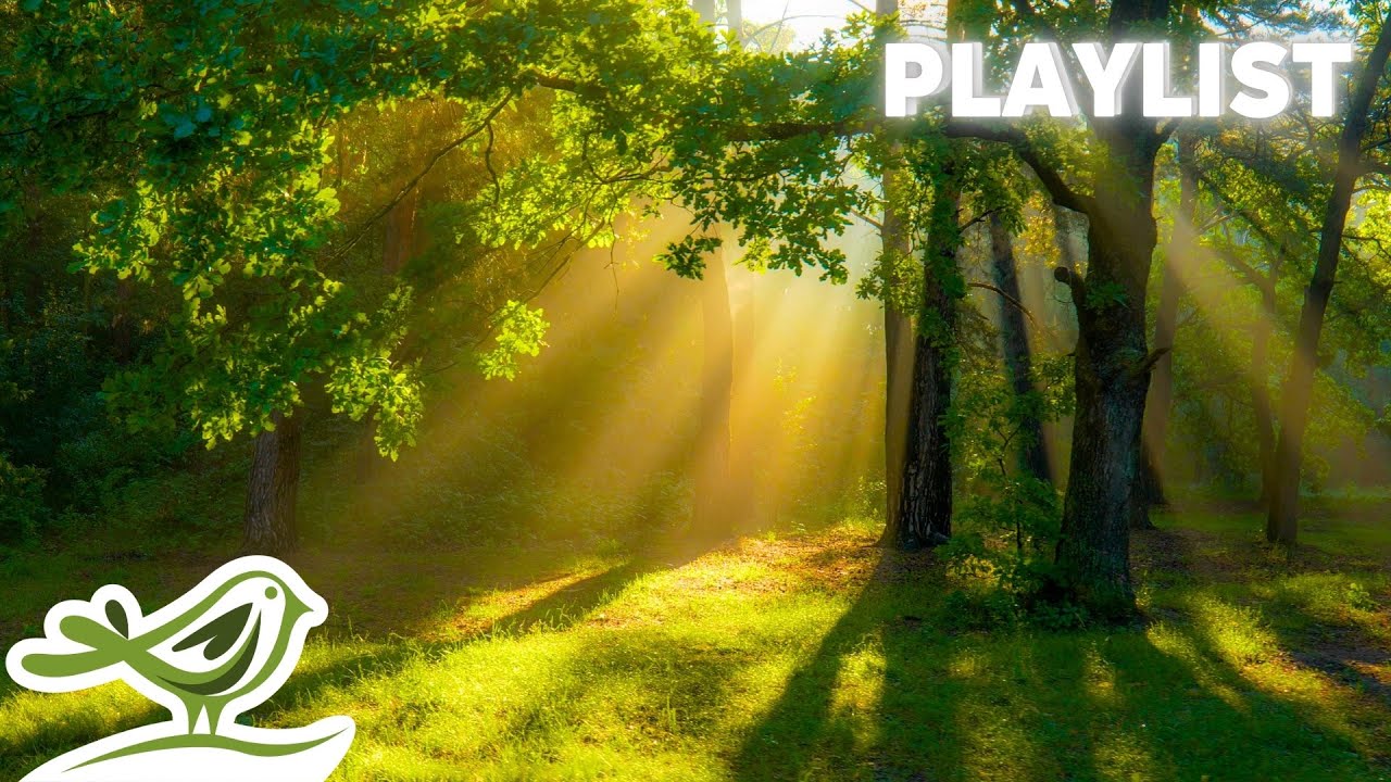 Magical Relaxing Music, Vol. 1 | Peaceful Forest-Inspired Melodies