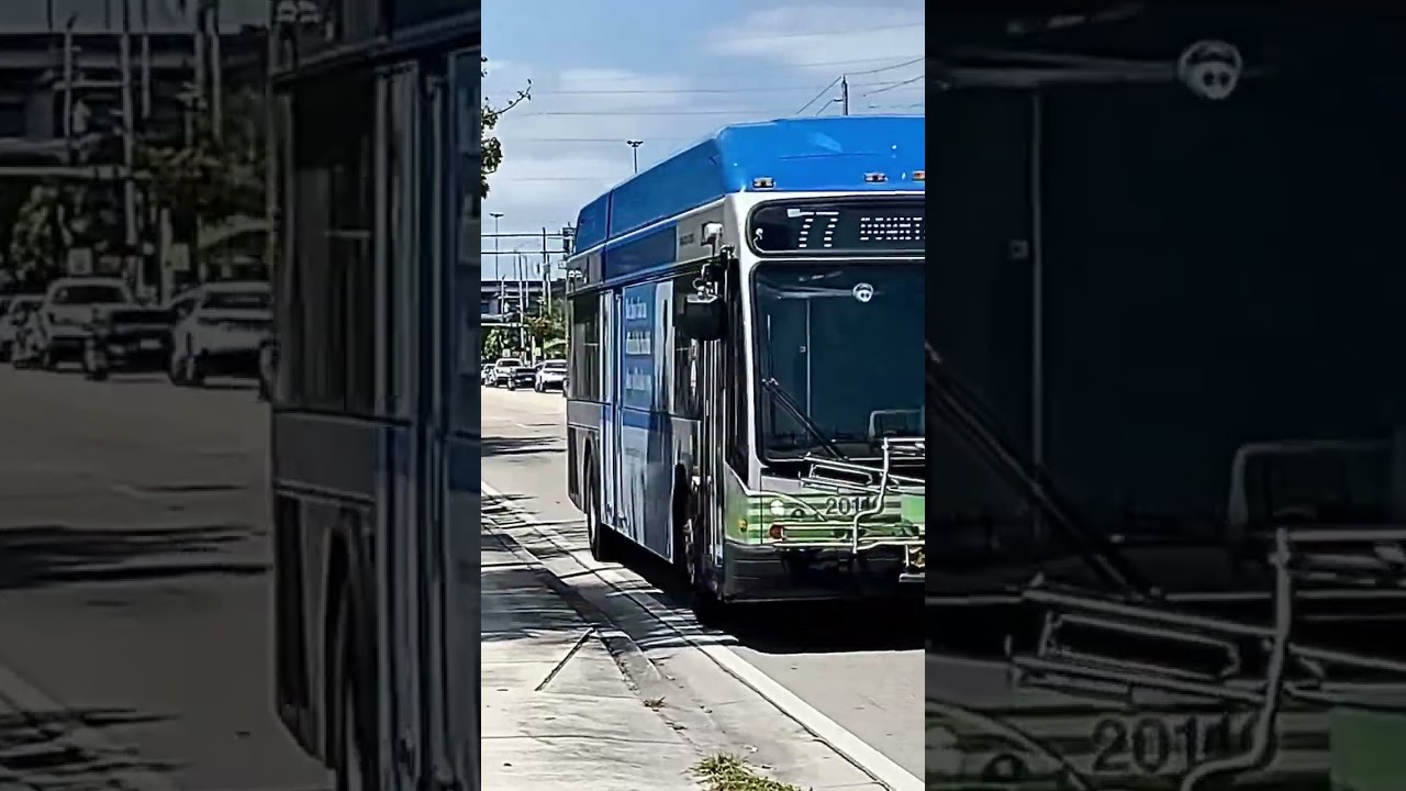 GILLIG BRT 40Plus 20110 Bus Model 🚍