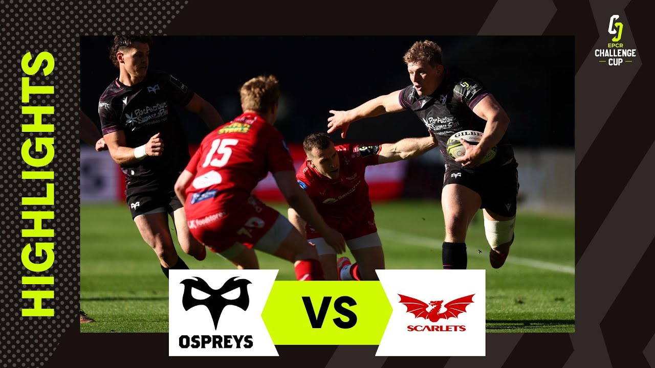 Ospreys vs Scarlets: EPCR Challenge Cup Highlights