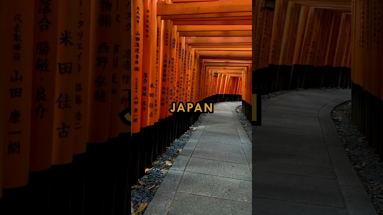 14-Day Japan Travel Guide πΎ