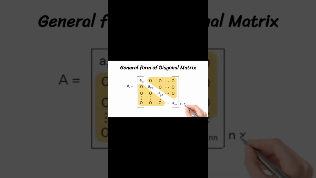 Diagonal Matrix Explained: Definition & Examples 📊