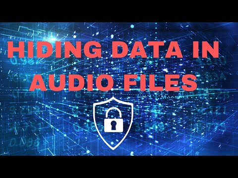 Steganography 101: How to Hide Data Within Other Data and Protect Your Information