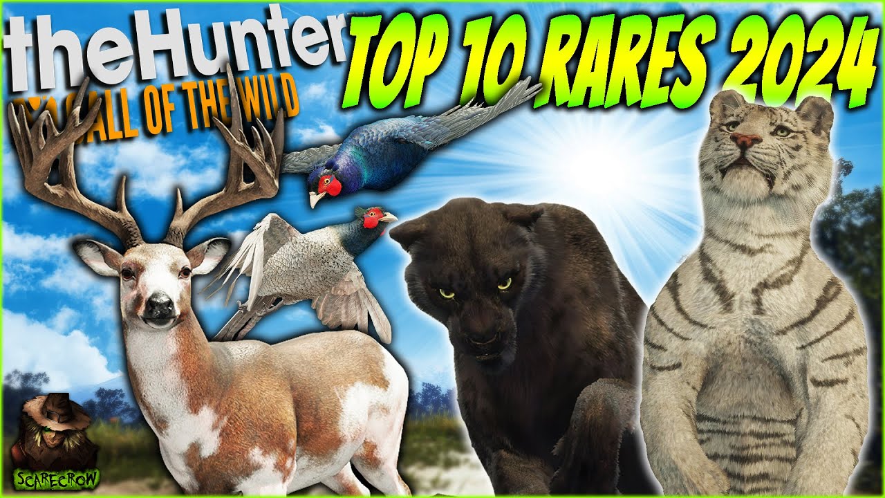 Top 10 Insane Rares & Super Rares of 2024! 🐾