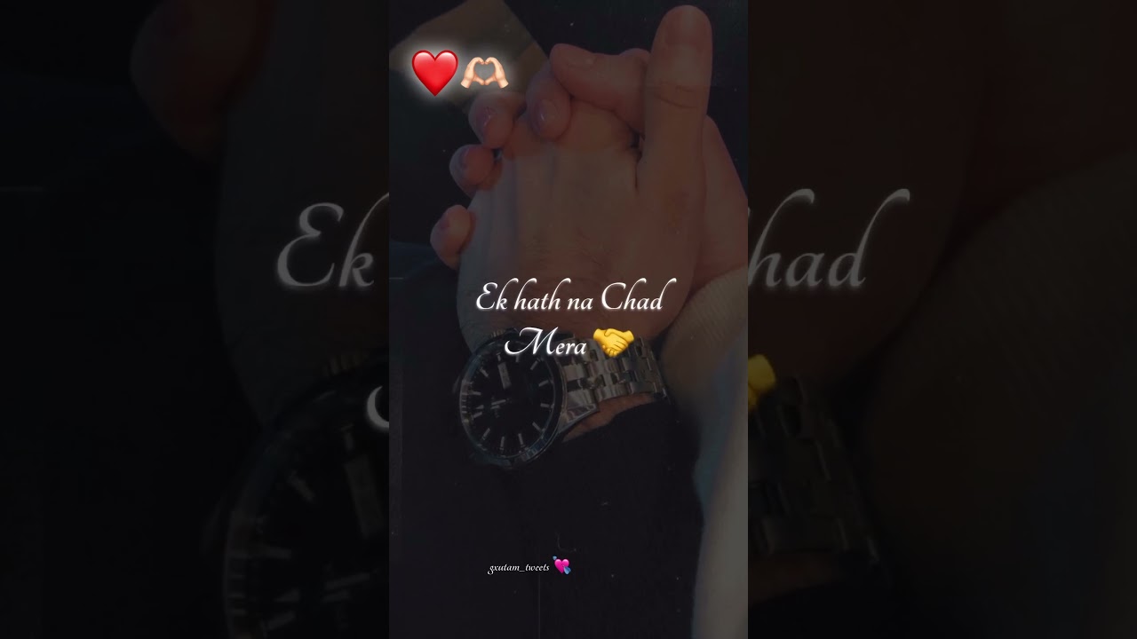 Wang Preet's Harpal Song 🎶