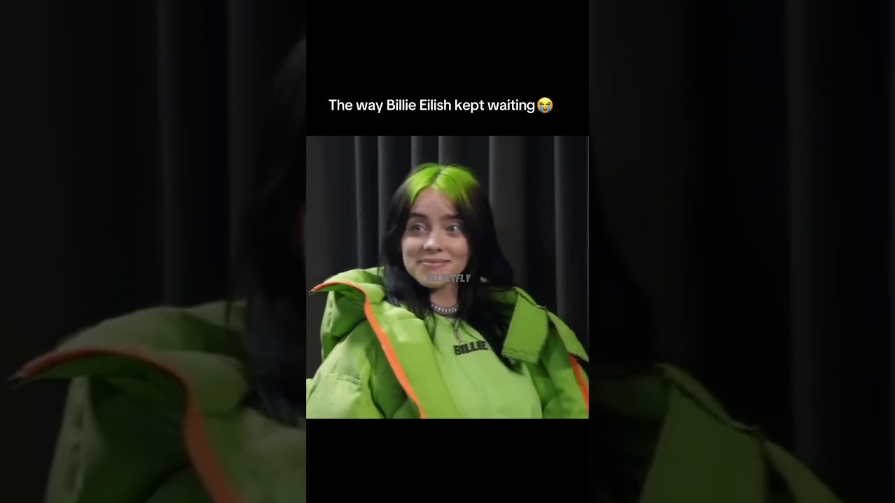 Fan Waits for Billie Eilish Without Realizing She's Right Next to Her 😱