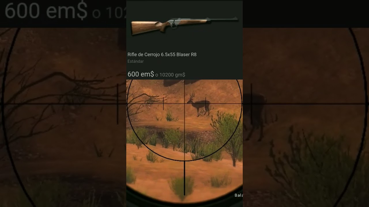 Blaser R8 Rifle Showcase in The Hunter Classic 🎯