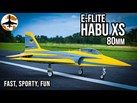 Horizon's Newest EDF Jet is Super Easy to Fly - E-flite Habu XS 80mm Review