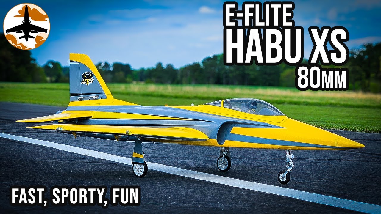 E-flite Habu XS 80mm: The Fast & Easy EDF Jet You Can Master ✈️