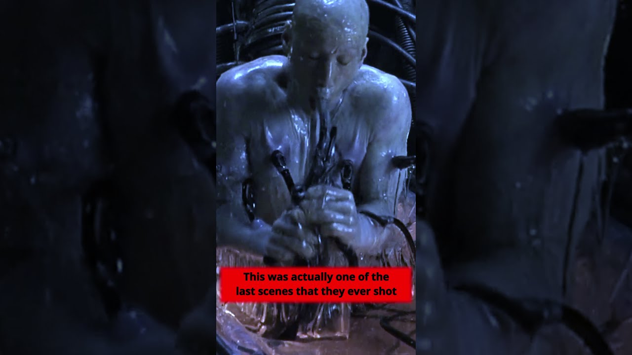 Neo Wakes Up in the Pod: Last Scene Shot 🎬