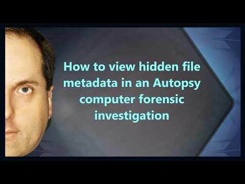 How to view hidden file metadata in an Autopsy computer forensic investigation