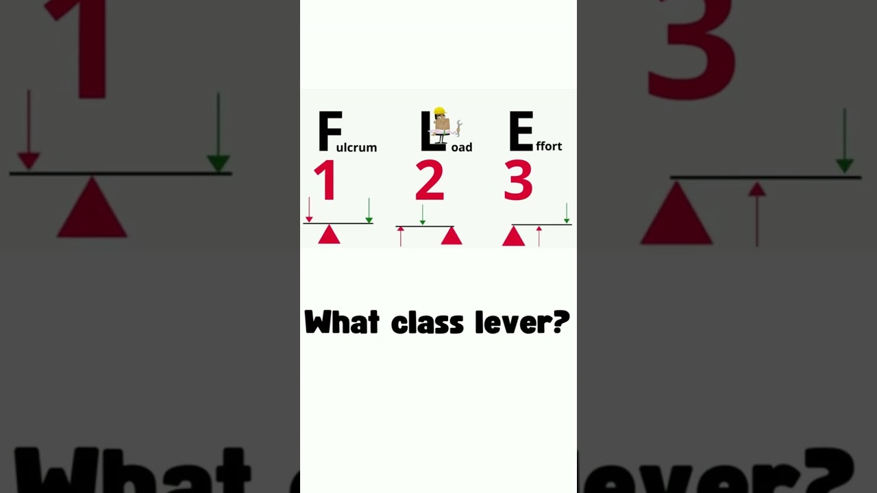 Types of Levers & How to Identify Them 🔧