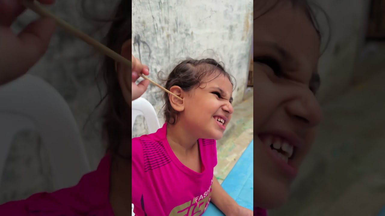 Adorable Cats for Every Cat Lover