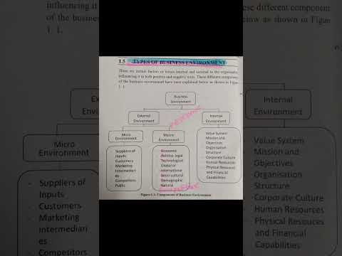 Types of Business Environment #Business #environment #shorts