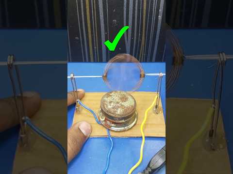 Homemade Electric Motor Science Project 💡