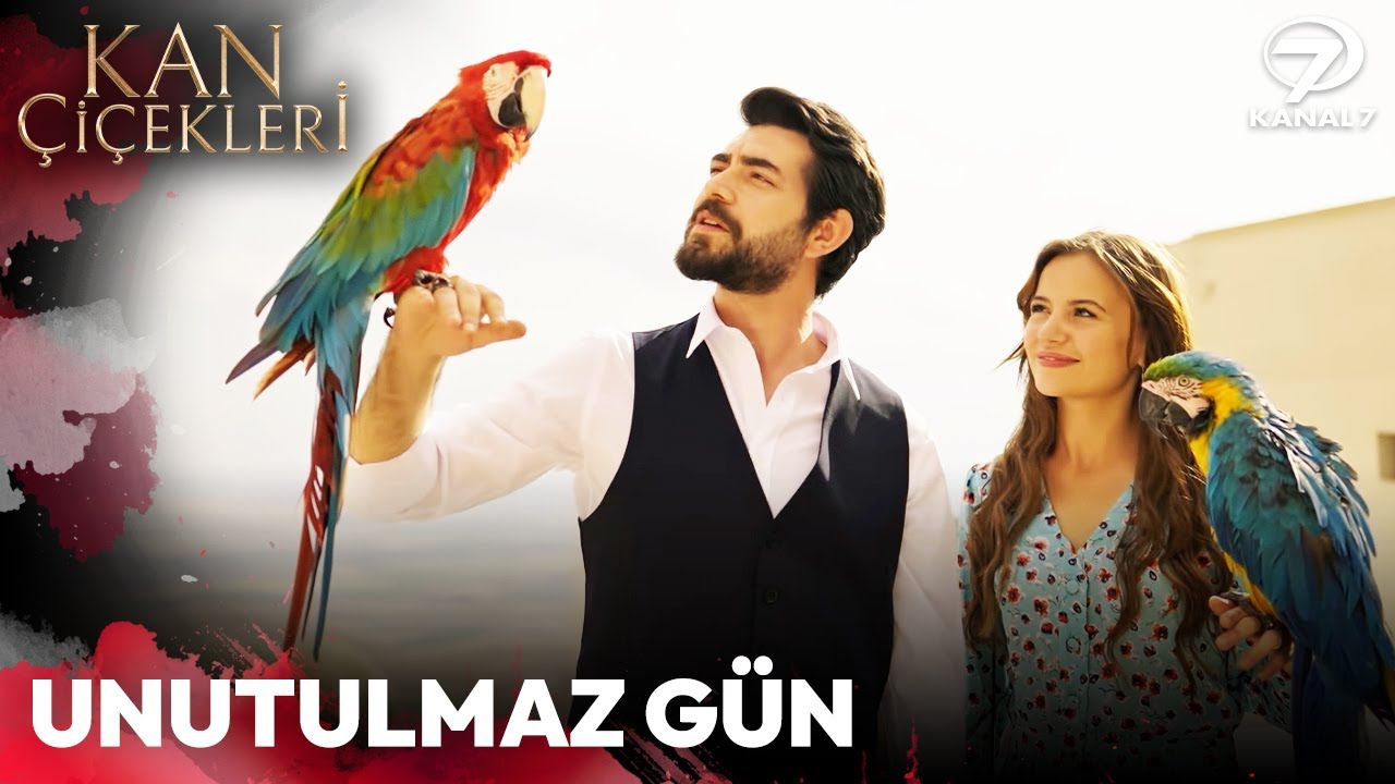 Mardin'in Tadını Çıkaran Kan Çiçekleri 199. Bölüm