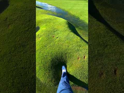 Have You Ever Seen a Grass Bubble? 🫧 #shortvideo #shorts