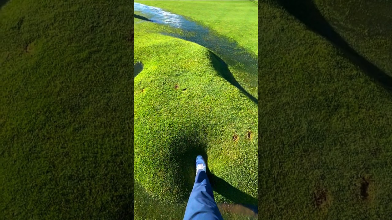 Watch a Fascinating Grass Bubble Formation! 🌱🫧