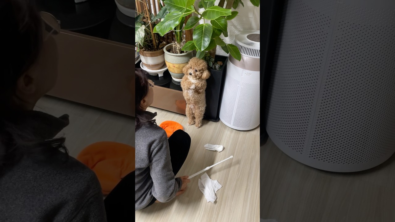 엄마한테 혼나는 토리꾼 😅