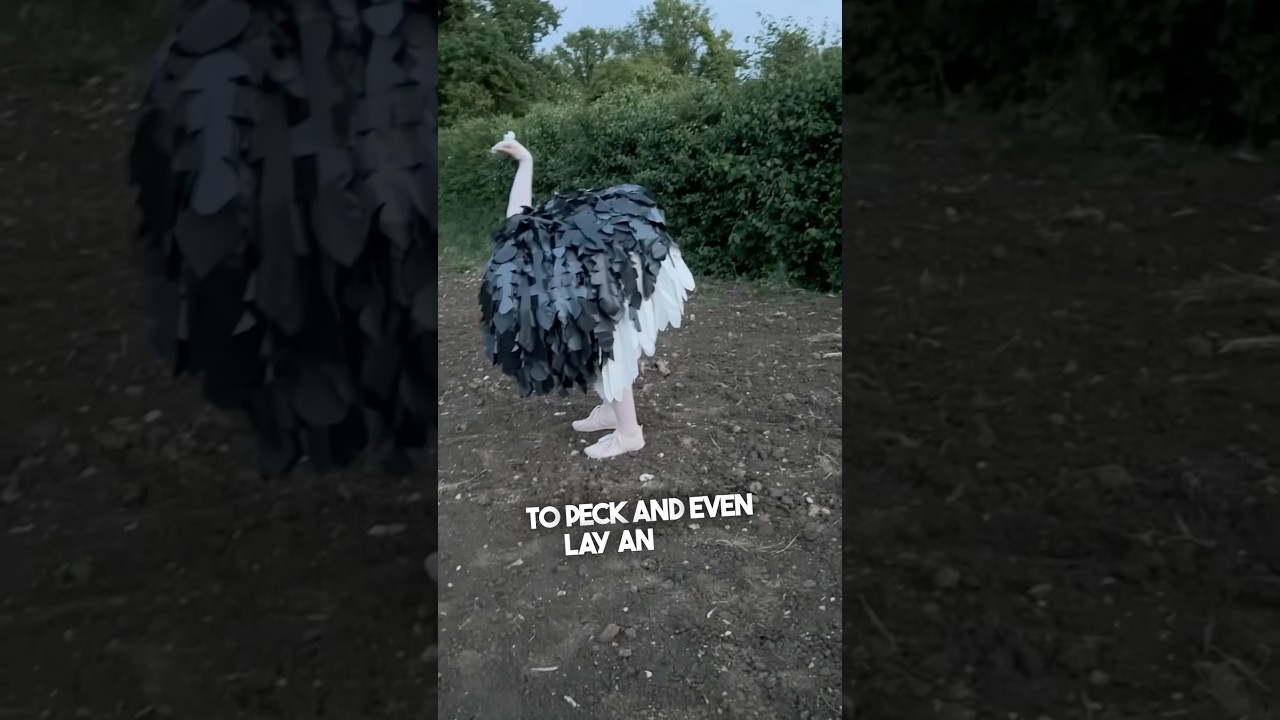 Unique Halloween Costume That Will Surprise Everyone 🎃