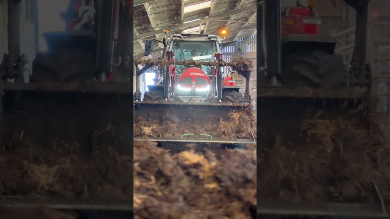 1/10 : Massey Ferguson 5S.135 #tracteur #agriculture #agri #essai