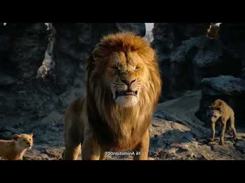 The Lion King fight with wolf || Cartoon || Cartoon Network