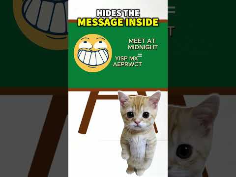 How Cats Encrypt Secret Messages 😼🔐 | MEET AT MIDNIGHT#cats,#encryption,#vigenerecipher, #funny#cats