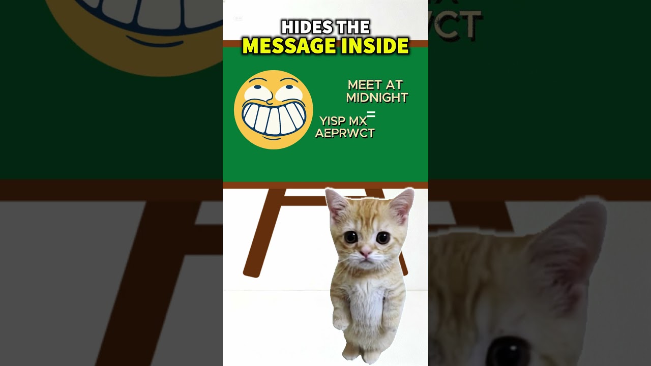 How Cats Encrypt Secret Messages with the Vigenère Cipher 🐱🔐