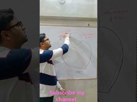 S.A node,Pacemaker of heart #Shorts #Untold Biology