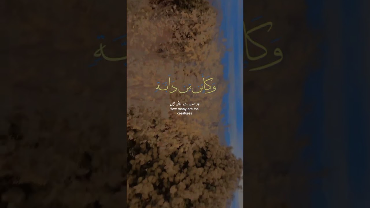 Islamic Content on YouTube 🌙