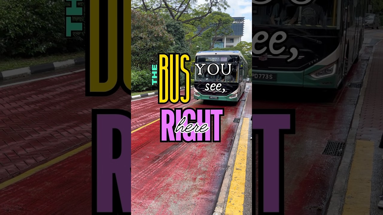 NUS Internal Shuttle Bus π: Free Campus Transportation & Updates