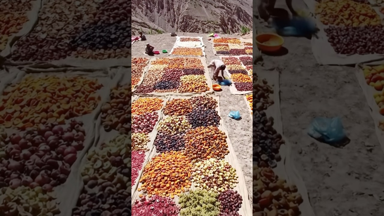 Mountain Village Afghani Feast 🍽️
