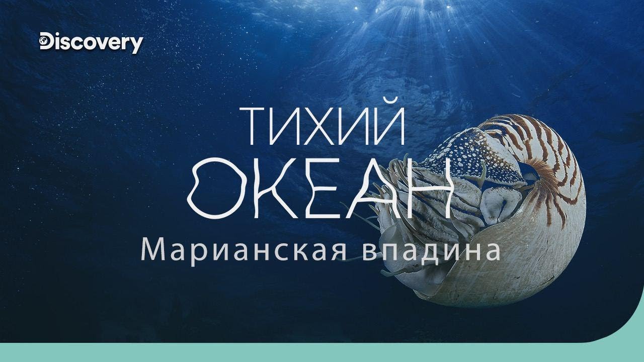 Тихий океан и Марианская впадина: тайны глубин 🌊